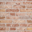 WIENERBERGER BRIQUES GAMME BELLE EPOQUE MONS